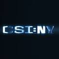 CSI:NY