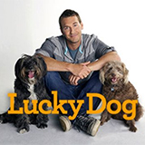 Der Hundetrainer - Lucky Dogs Mit Brandon McMillan