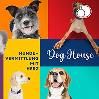 Dog House - Hundevermittlung Mit Herz