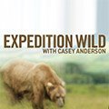 Expedition Wild