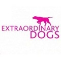 Extraordinary Dogs