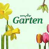 MDR Garten